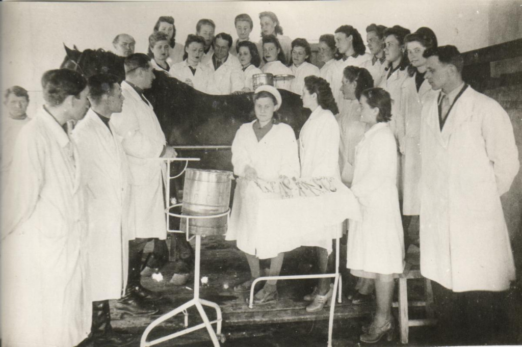 14044662360_saratovskii_zootexnichesko_veterinarnyi_institut.jpg