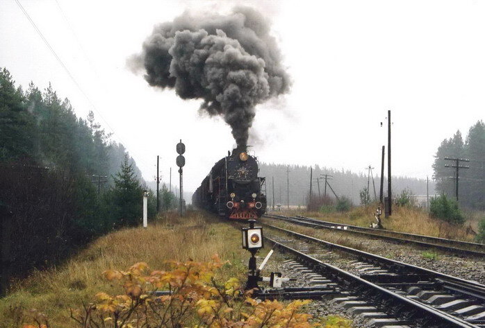 Медведь.jpeg