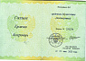 Превью слайда 1